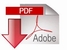 Download as PDF