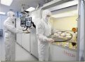 Semiconductor Processing Segment